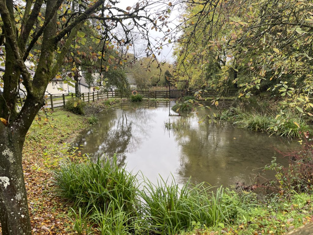 ponds at Woodford Bridge Country Club