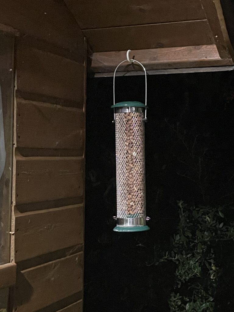 Peanut bird feeder