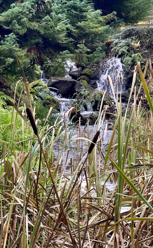 Woodford Bridge Country Club ponds