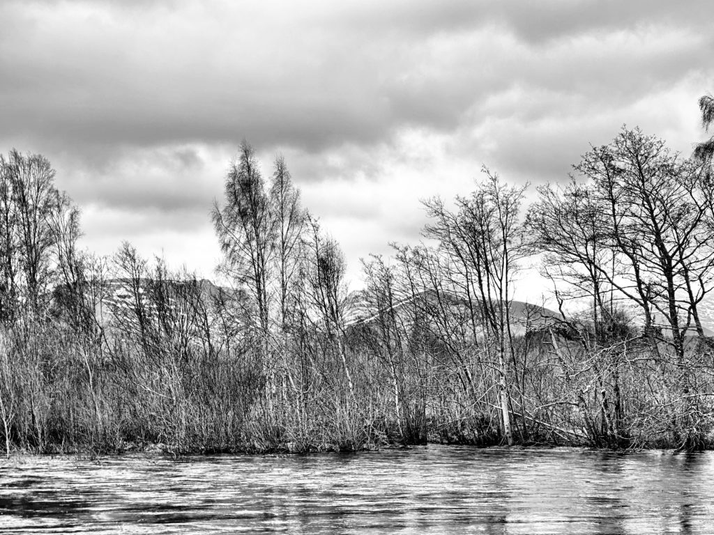 River Spey at Aviemore