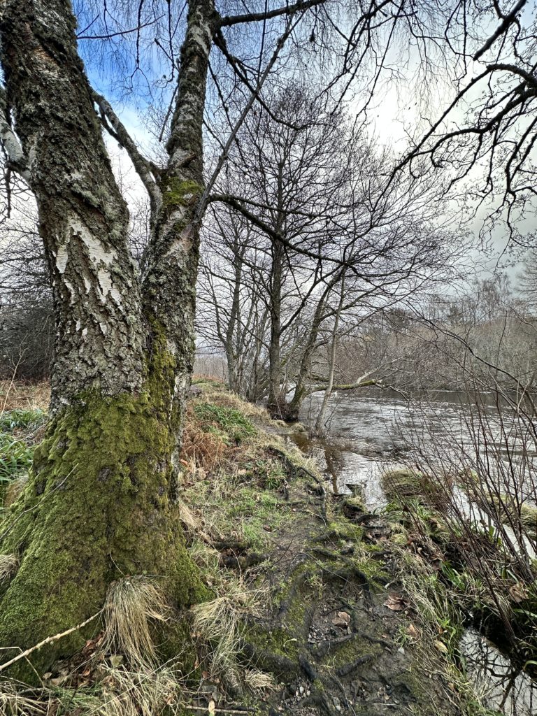 River Spey at Aviemore