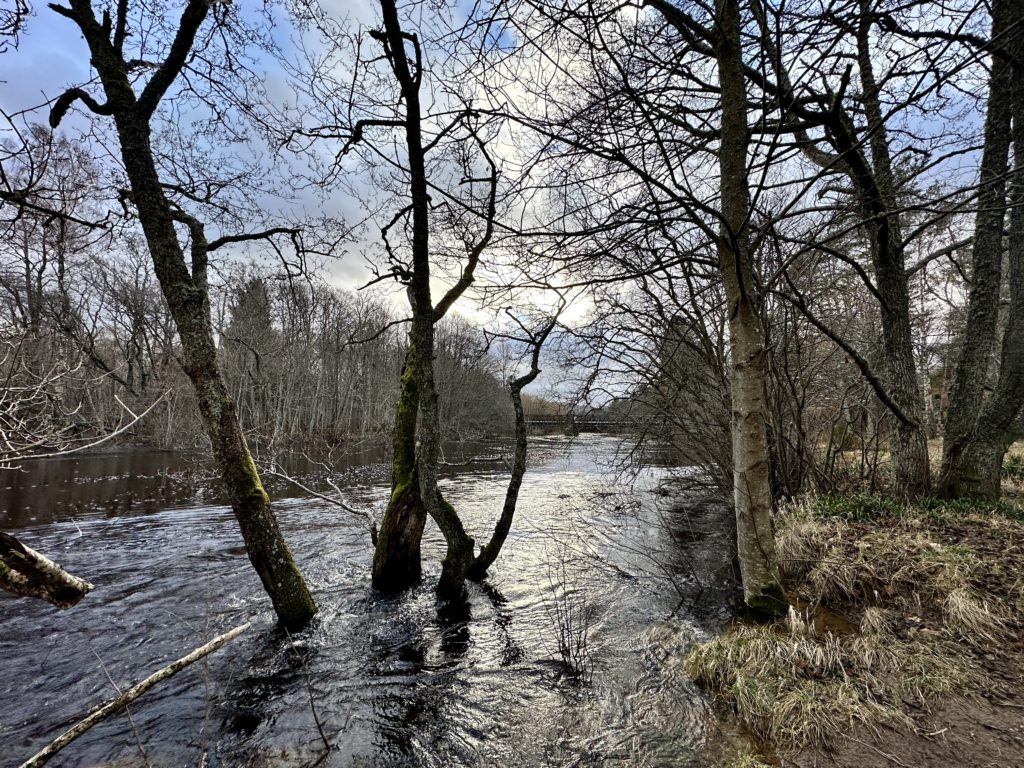 River Spey at Aviemore