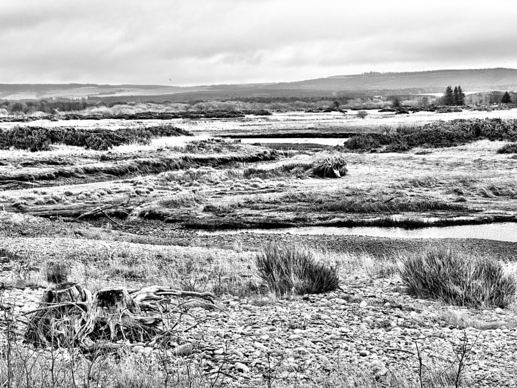 Spey Bay Wildlife Reserve