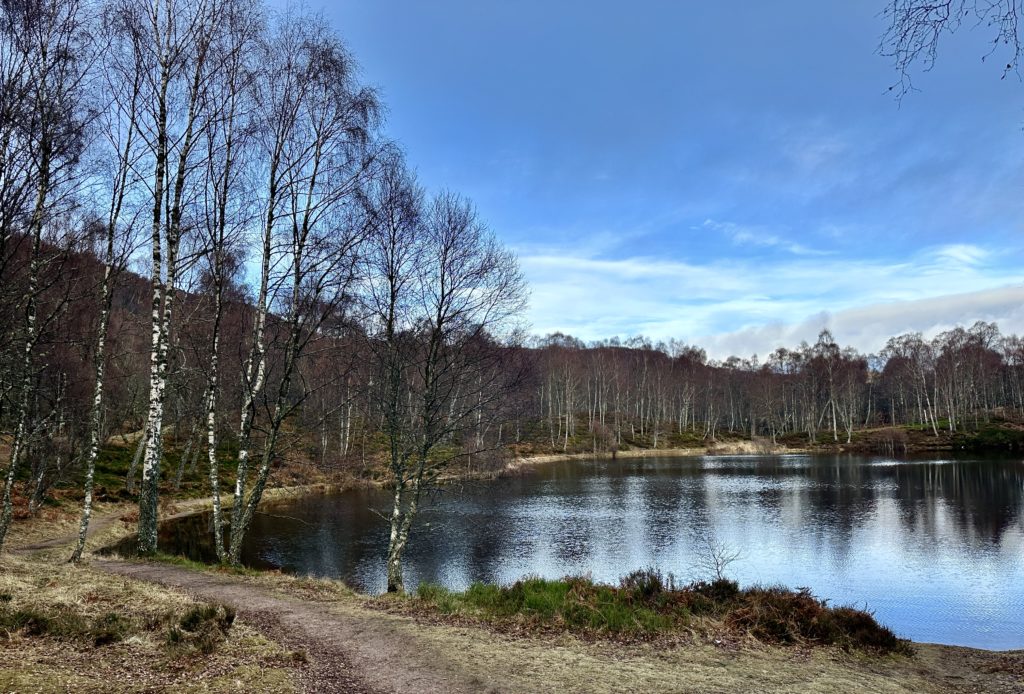 Craigellachie National Nature Reserve