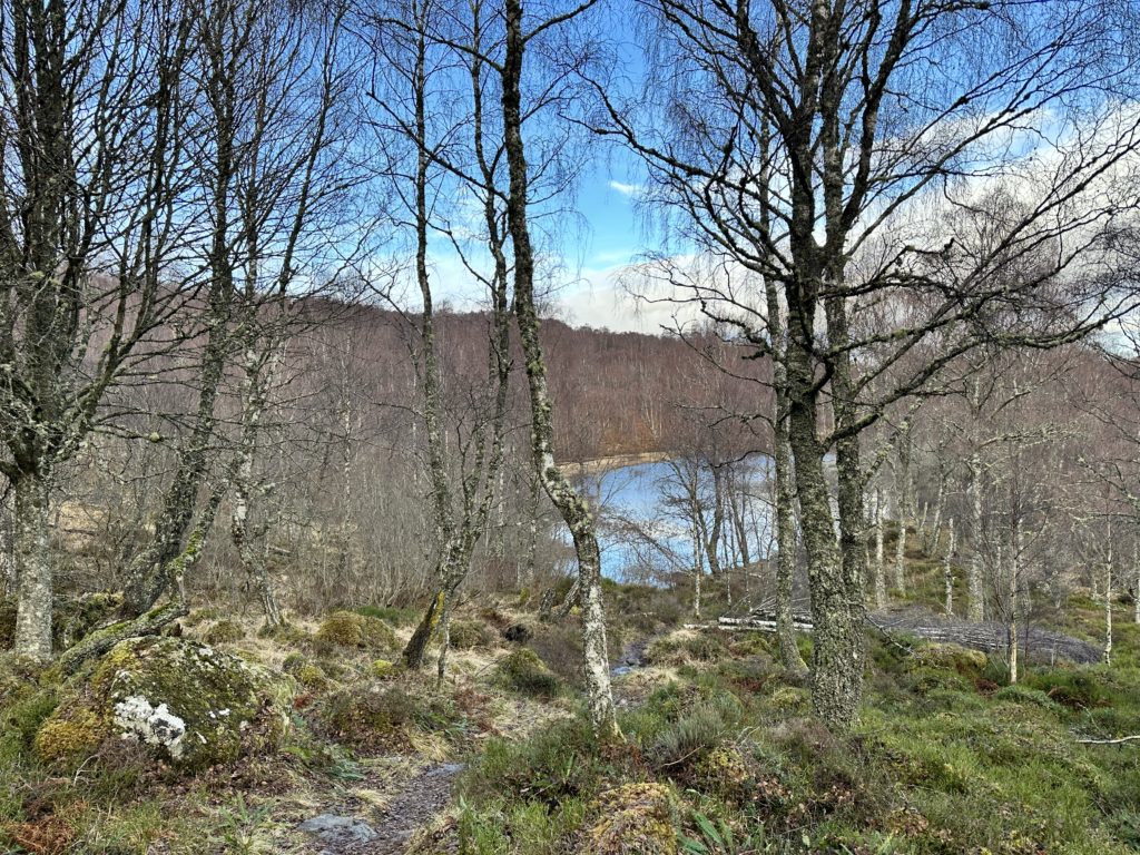 Craigellachie National Nature Reserve