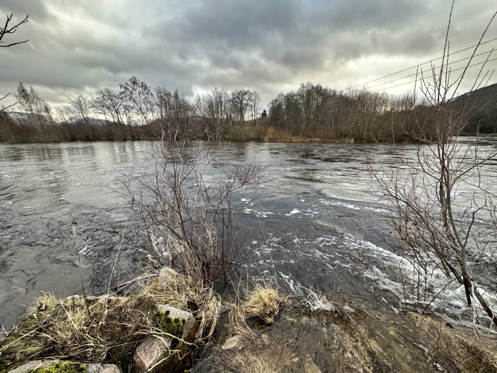 River Spey at Aviemore