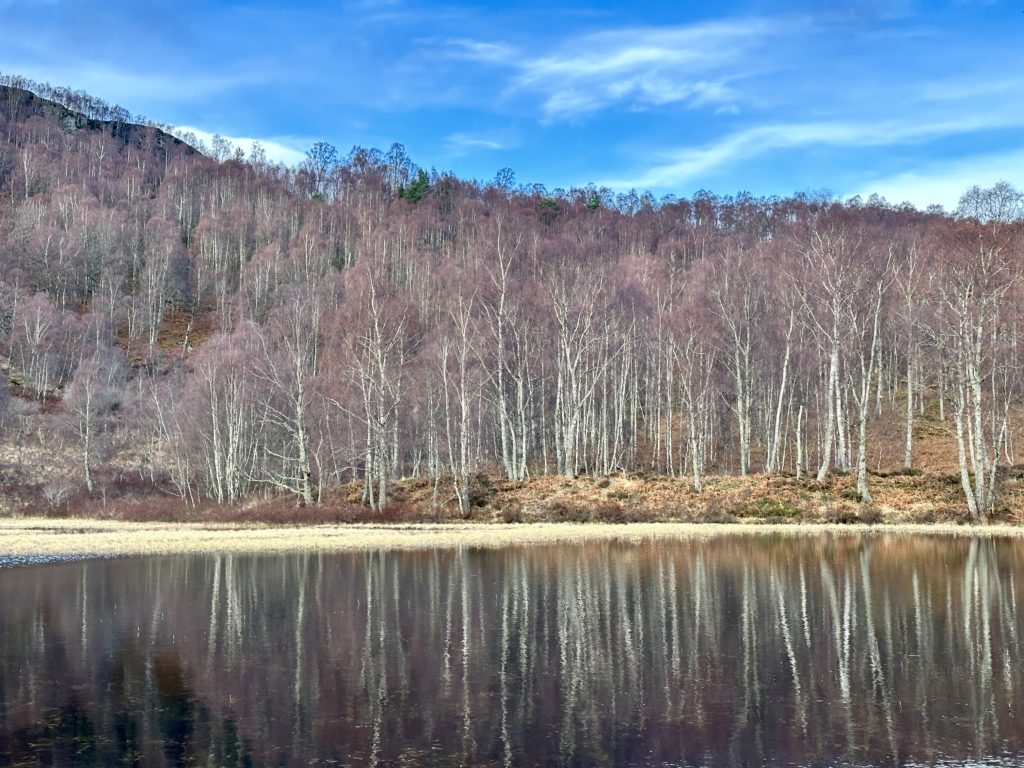 Craigellachie National Nature Reserve