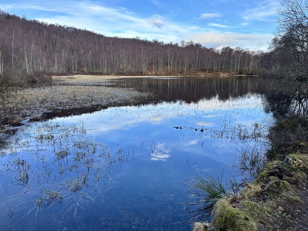 Craigellachie National Nature Reserve