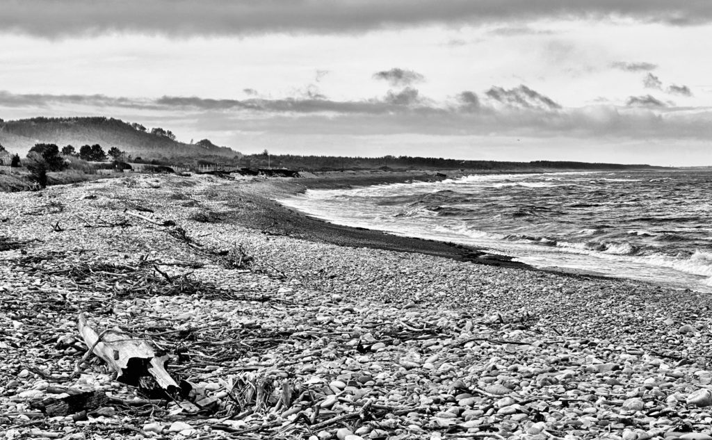 Spey Bay Wildlife Reserve