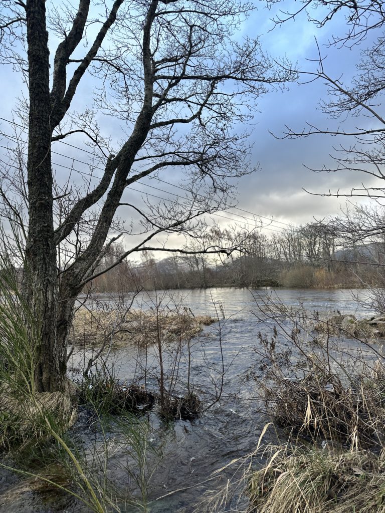 River Spey at Aviemore