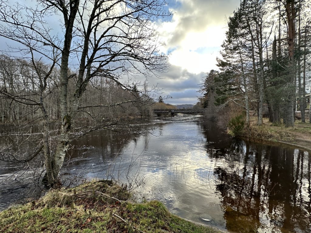 River Spey at Aviemore