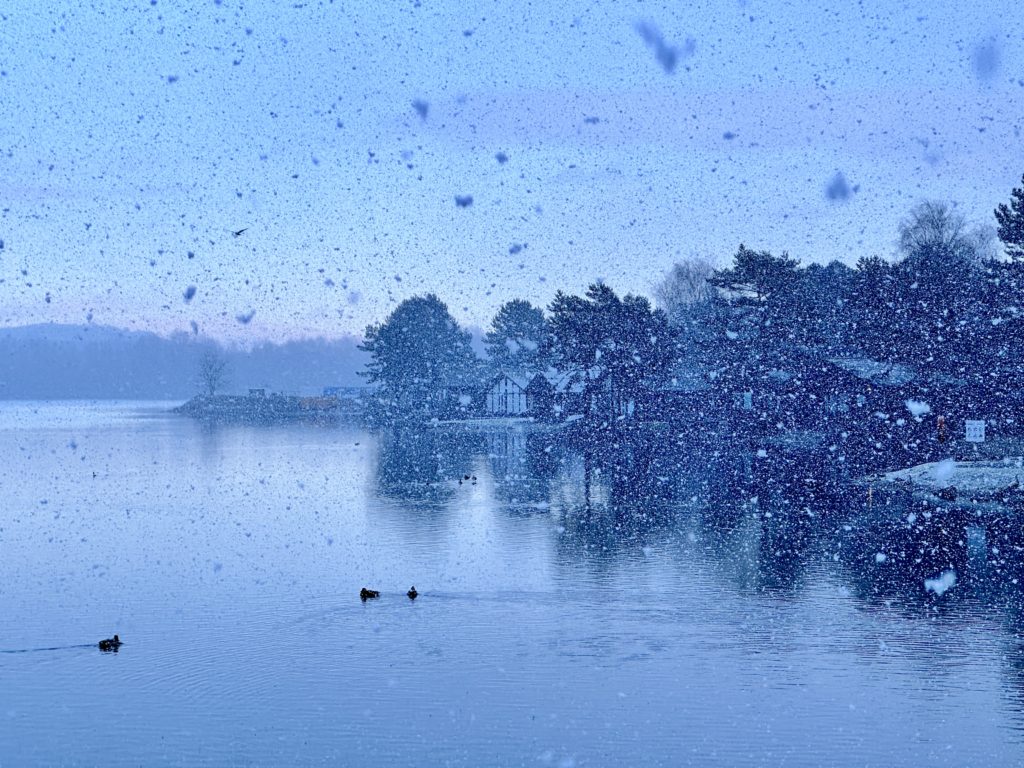 Snow over Pine Lake 