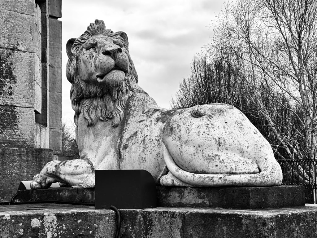 Stone lion Alnwick