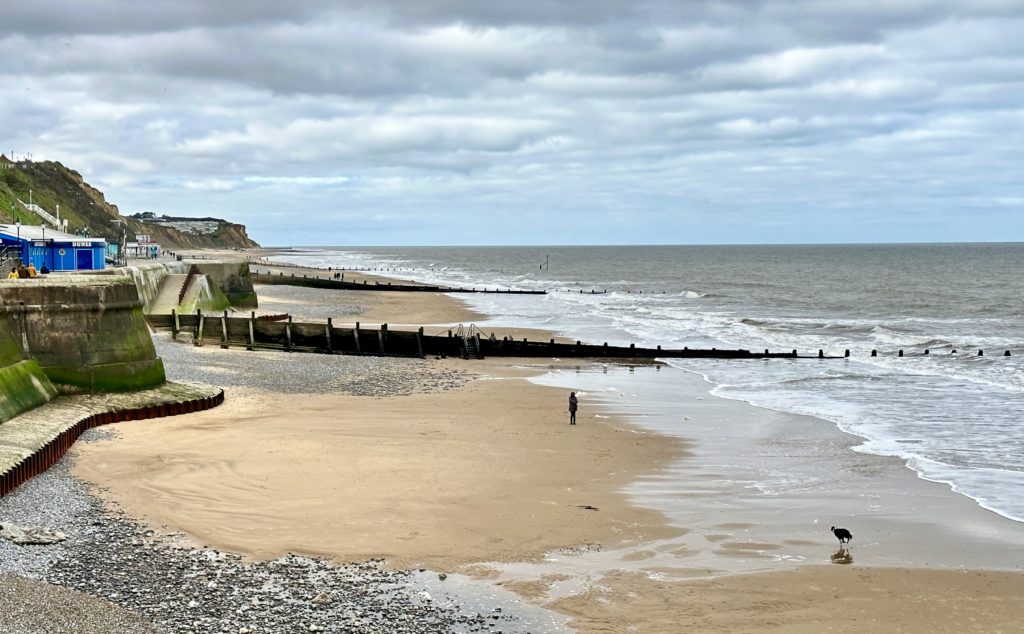 Cromer