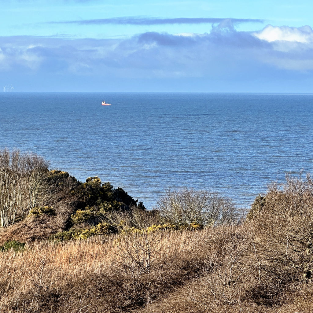 Norfolk Coast