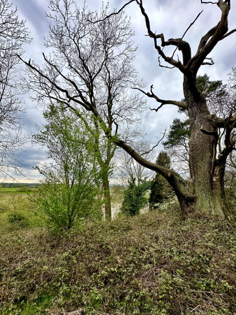 walking in Staffordshire