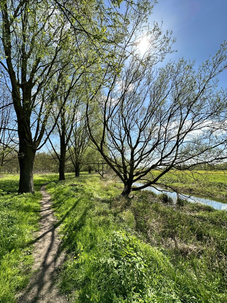 River Trent