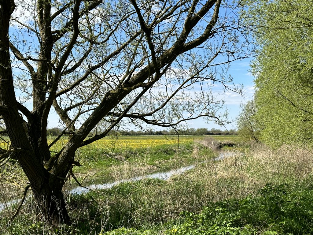 River Trent