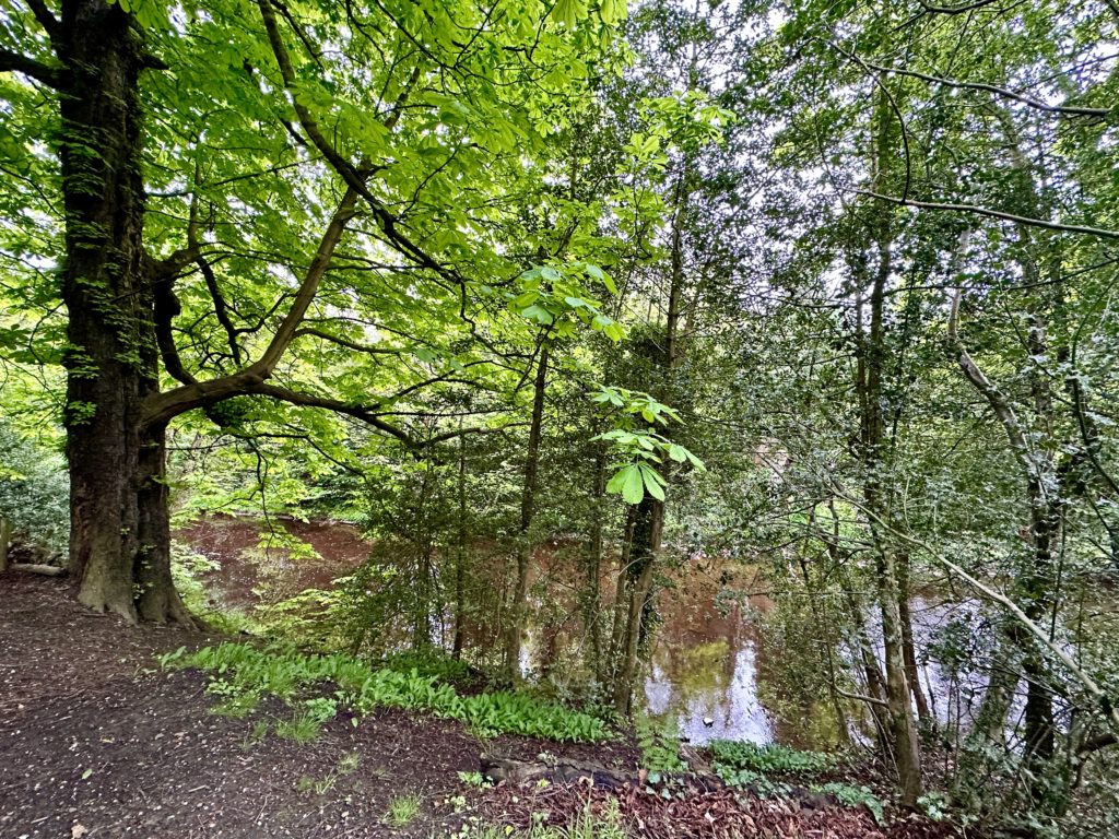 Water of Leith - Edinburgh