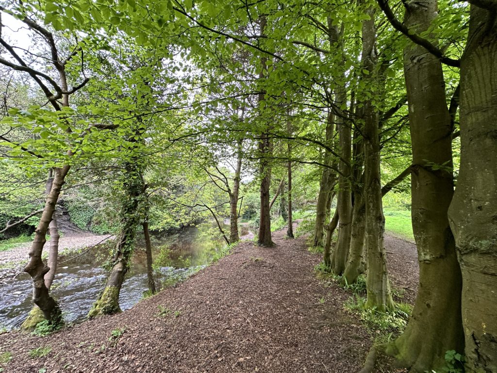 Water of Leith - Edinburgh