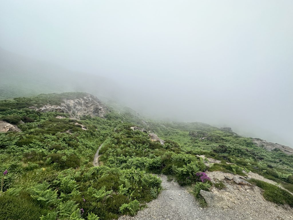 Cornish coast path