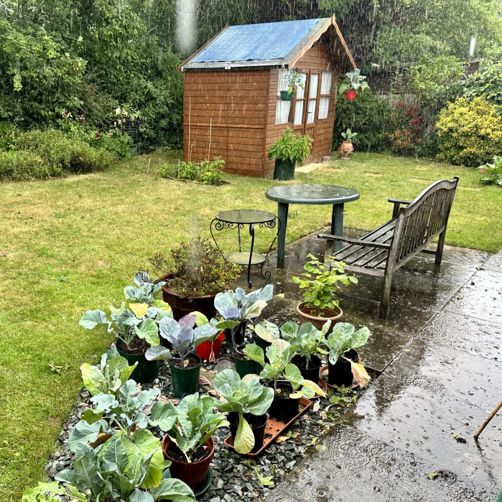 The shed in the rain