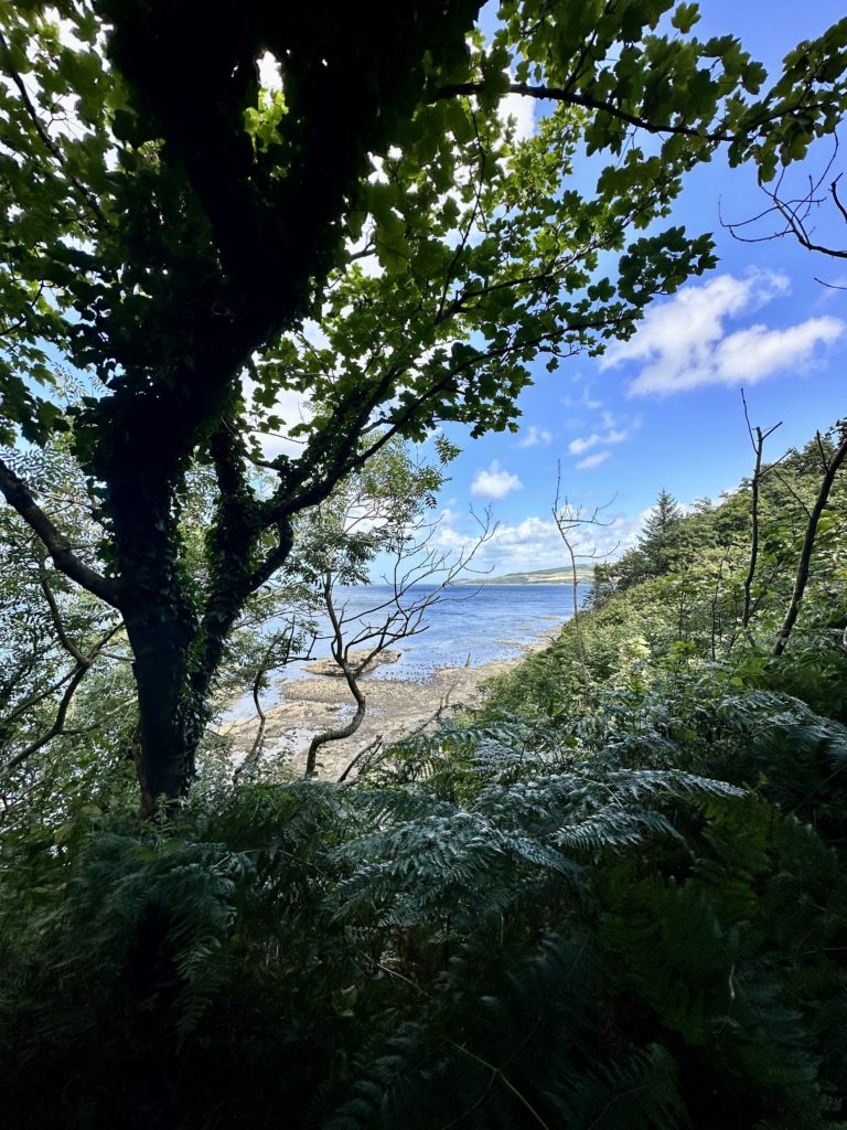 Culzean Castle and Country Park coast path