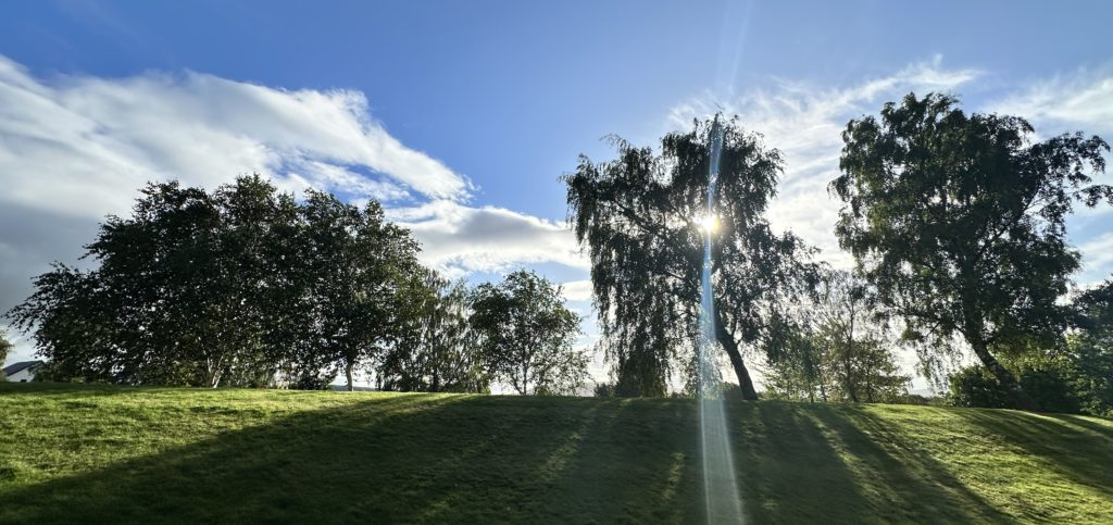 Scandinavian Village - Aviemore