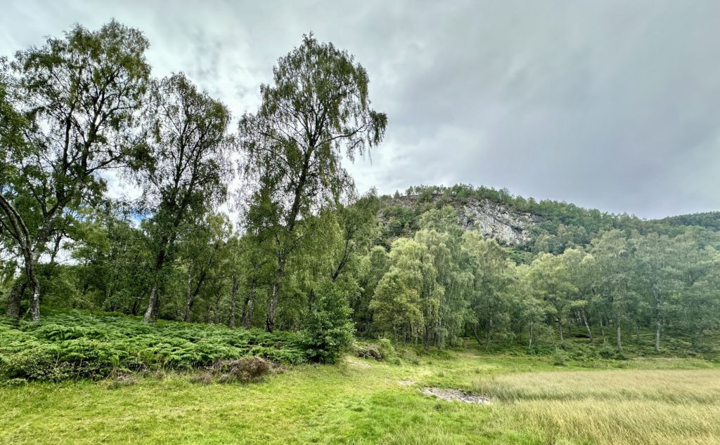 Craigellachie National Nature Reserve