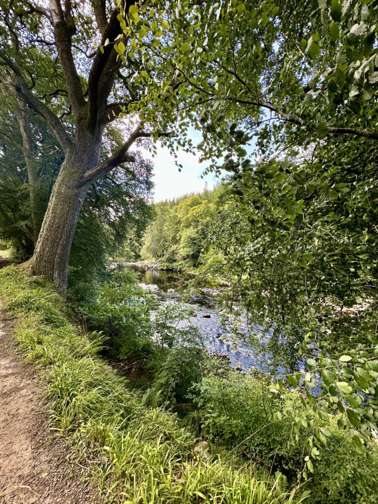 River Findhorn at Logie Steading​