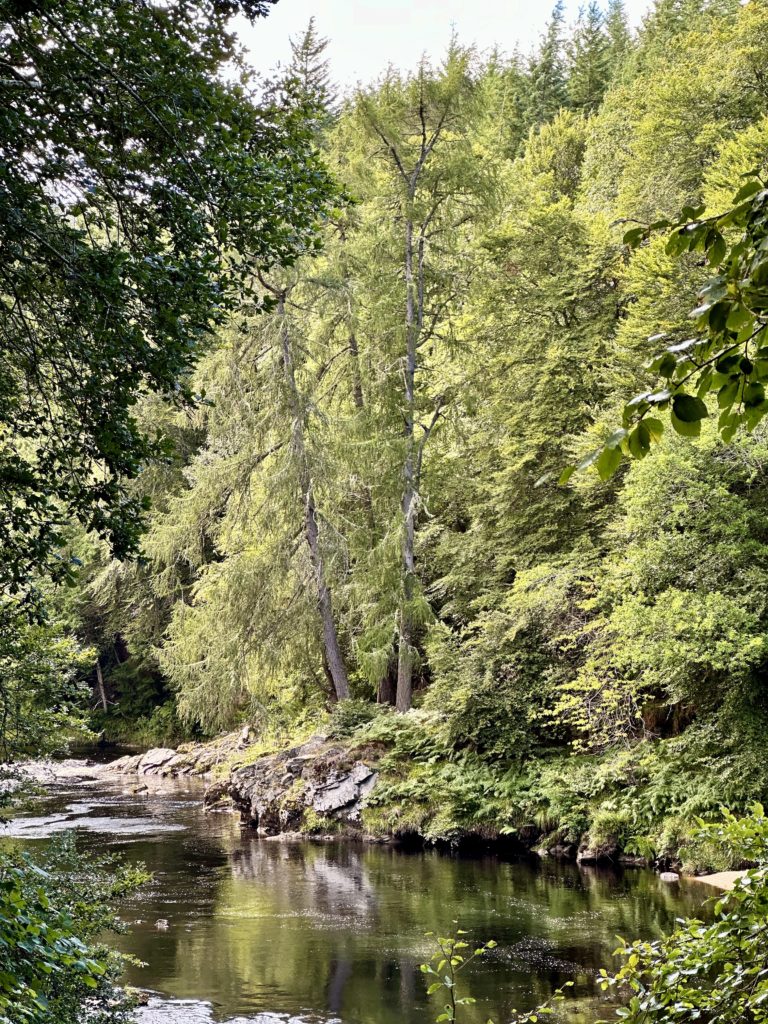 River Findhorn at Logie Steading​