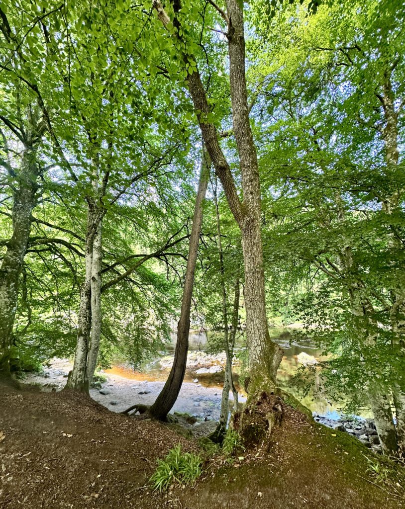 River Findhorn at Logie Steading