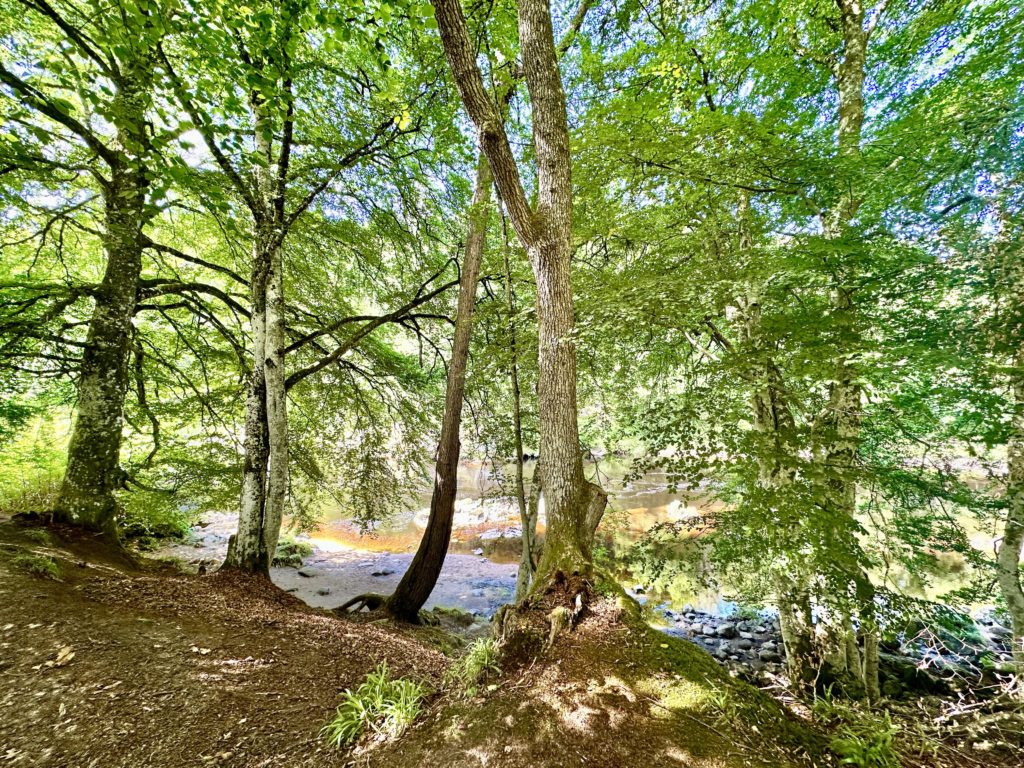 River Findhorn at Logie Steading​