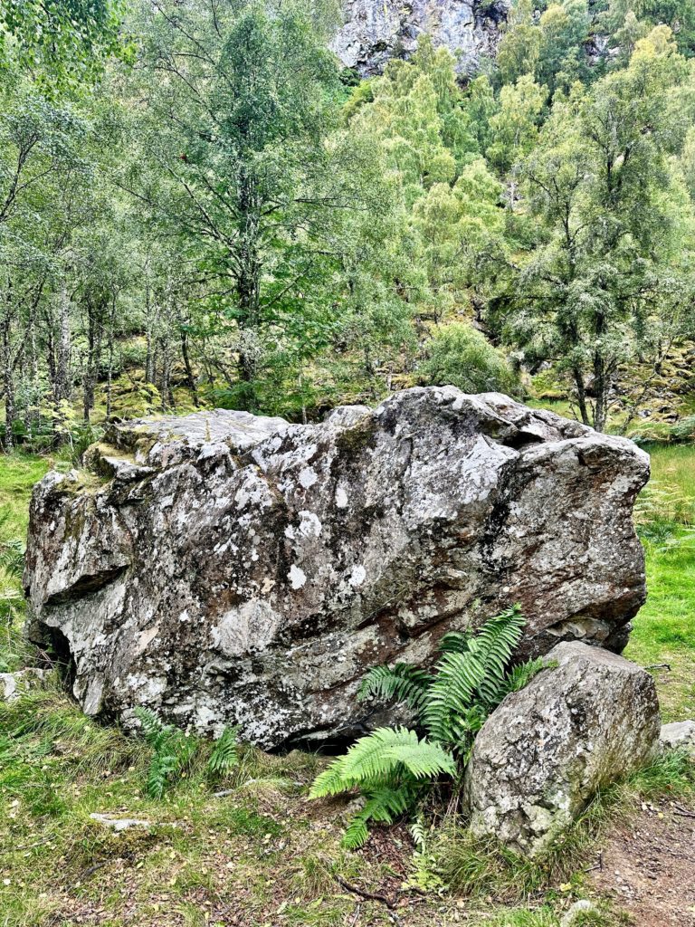 Craigellachie National Nature Reserve glacial erratic 