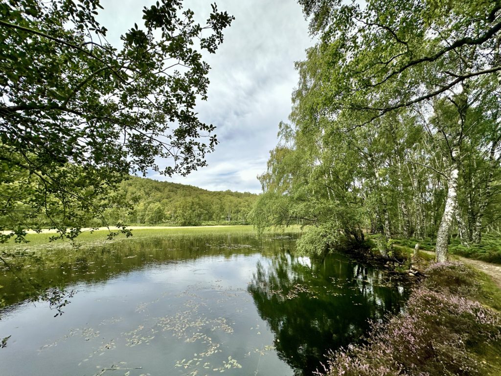 Craigellachie National Nature Reserve