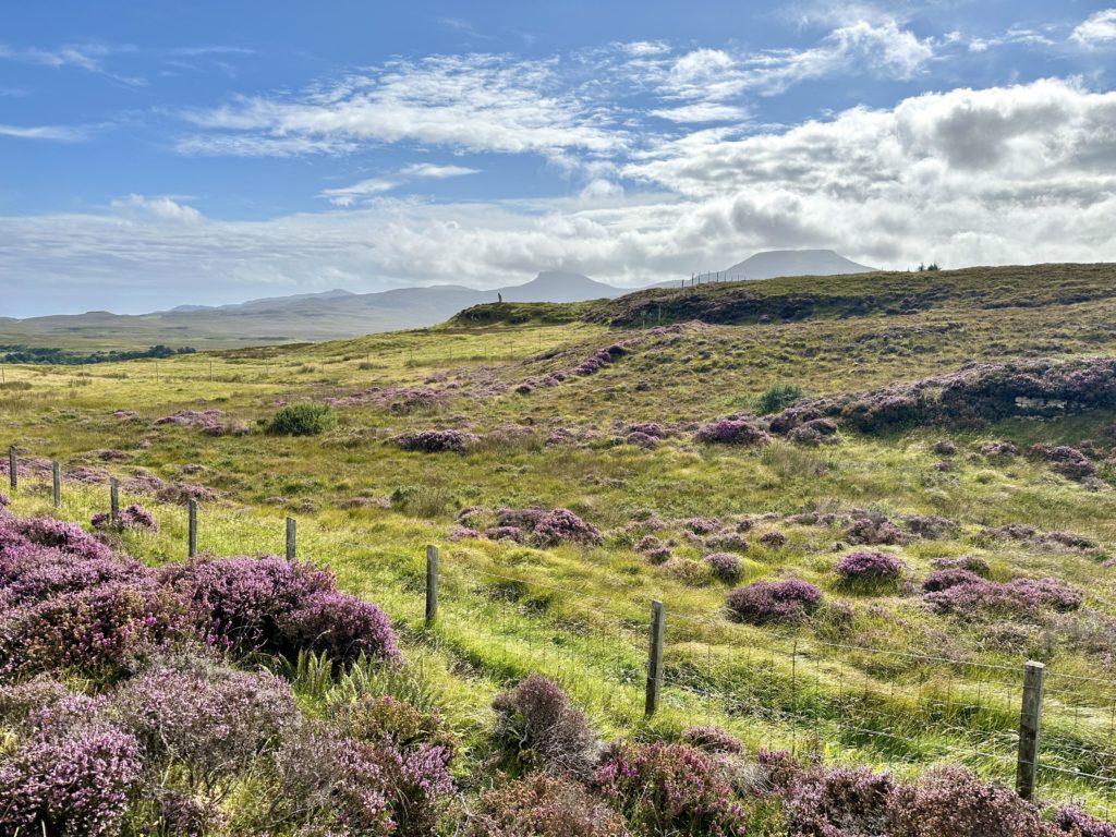 Walking to The Duirinish Stone