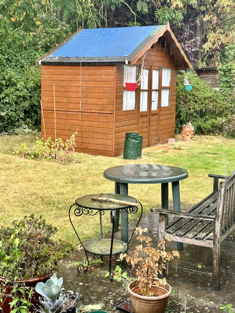 The shed in the rain