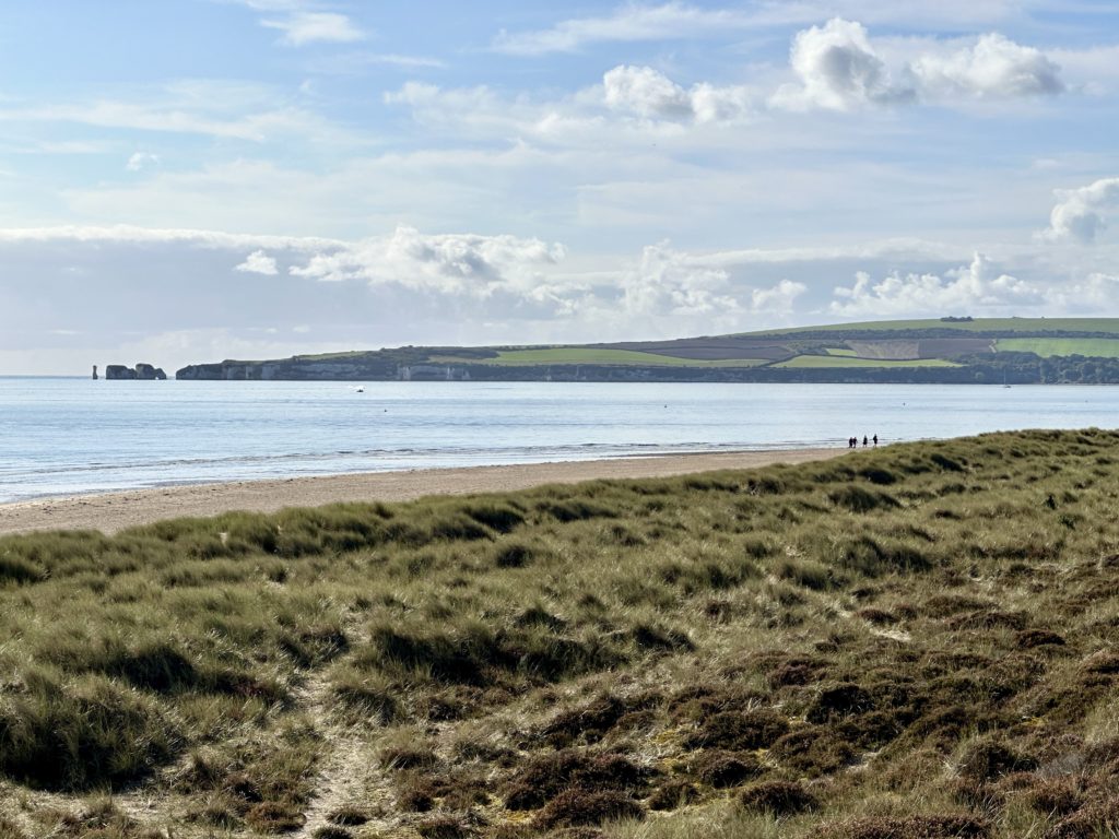 Old Harry’s Point​