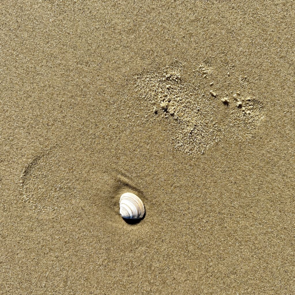 Footprint in the sand