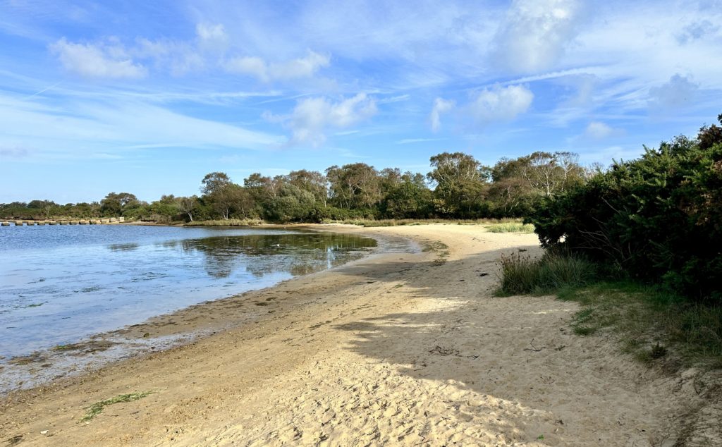 Studland Heath​