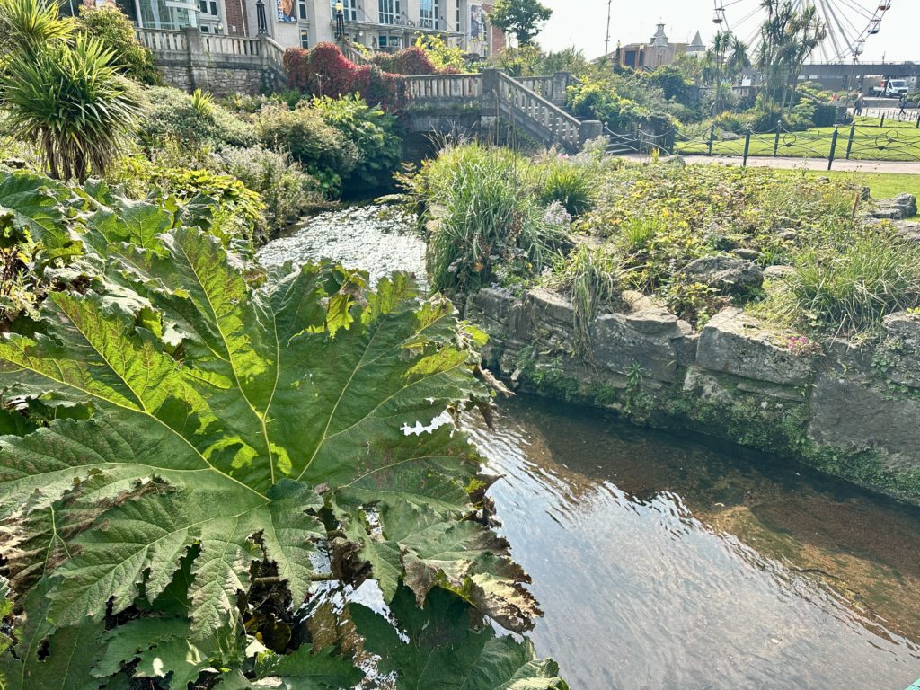 Bournemouth Lower Gardens