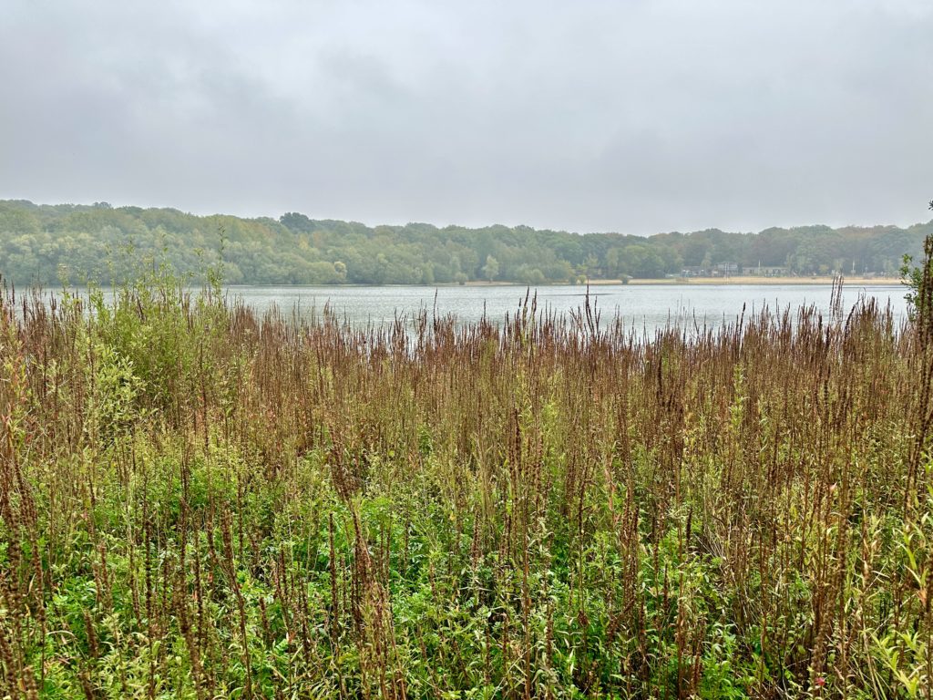 Ruislip Lido​