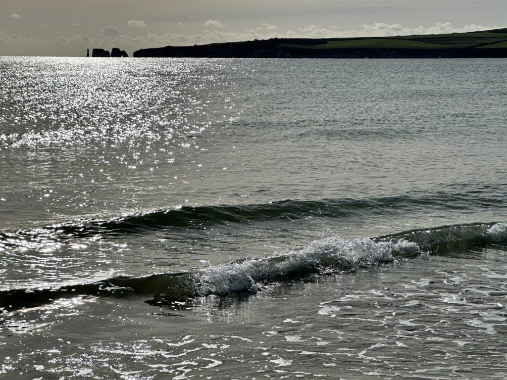 Old Harry’s Point