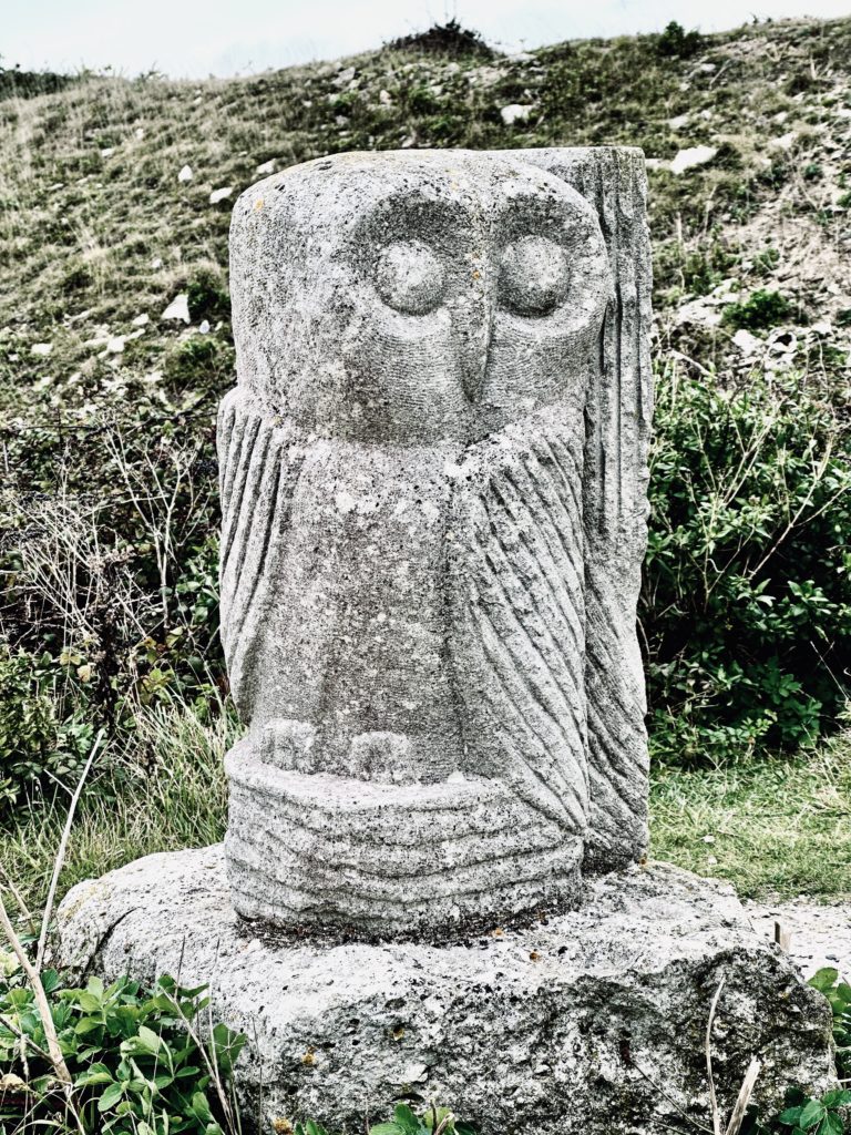 Tout Quarry​ Owl