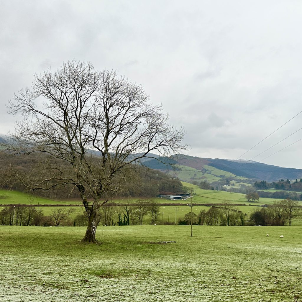 Mid Wales