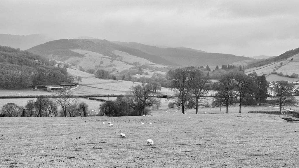 Plas Talgarth