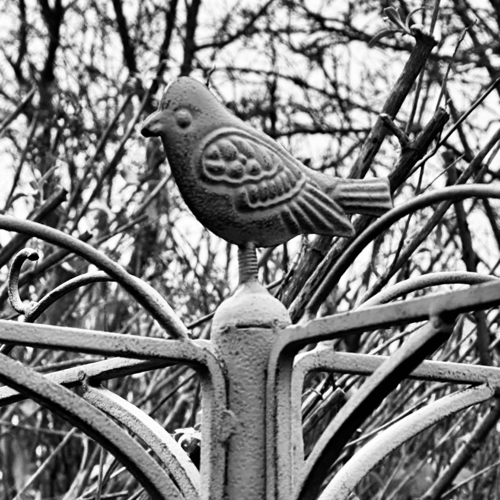 Cast iron bird Ona bird feeder