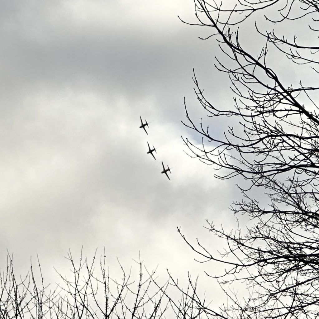 Three Red Arrows