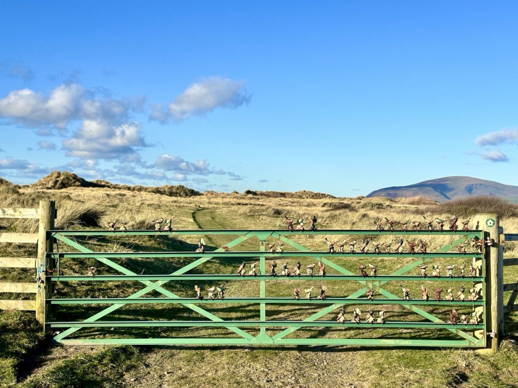 Walney Island Nature Reserve ​