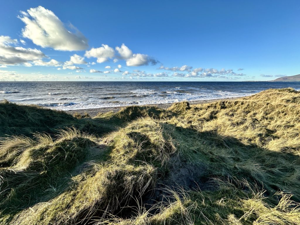 Walney Island Nature Reserve ​